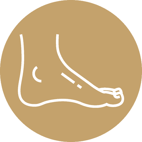 icone cheville chirurgie orthopedique docteur stevignon thomas chirurgien orthopediste specialiste genou et hanche paris