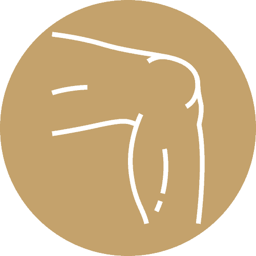 icone genou chirurgie orthopedique docteur stevignon thomas chirurgien orthopediste specialiste genou et hanche paris